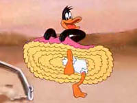 Daffy Duck in Daffy Duck Hunt