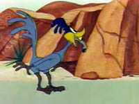 Wile E. Coyote in Ready, Set, Zoom!
